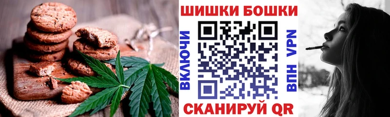 MEGA зеркало  Сясьстрой  Canna-Cookies марихуана 