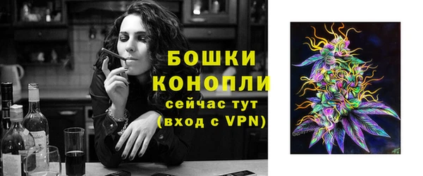 мдпв Переславль-Залесский