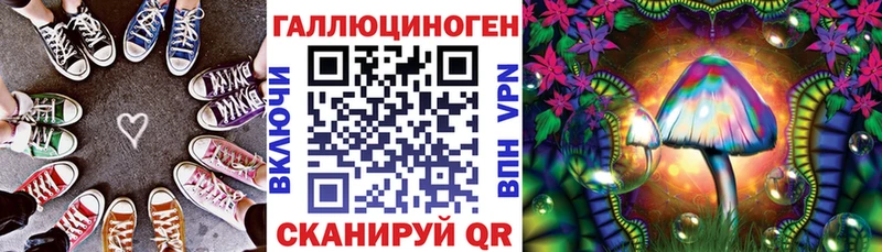купить закладку  Сясьстрой  Псилоцибиновые грибы ЛСД 